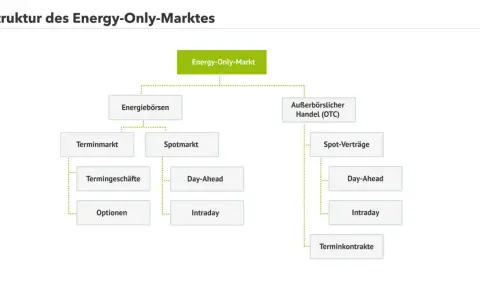 Struktur des Energy-Only-Marktes: Energiebörsen (Terminmarkt, Spotmarkt) und außerbörslicher Handel (OTC) mit Spot-Verträgen.