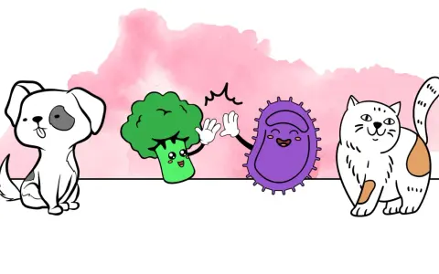 Un chien, un brocoli et une bactérie s'amusent. Peut-on donner des probiotiques humains à un chien ?
