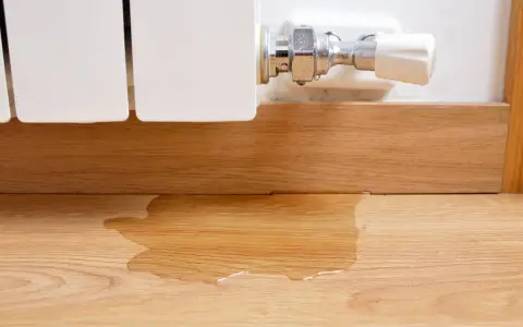 La caldera pierde presión y no hay fugas visibles, pero hay agua en el suelo de madera.