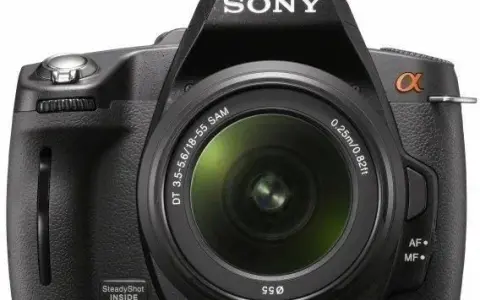 Lustrzanka Sony Alpha 390 - idealny wybór dla początkujących fotografów