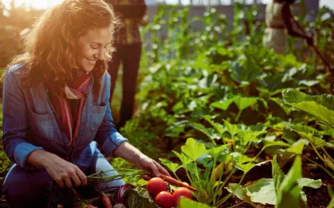 Femme souriante récoltant des carottes et des tomates dans un potager sans entretien luxuriant.