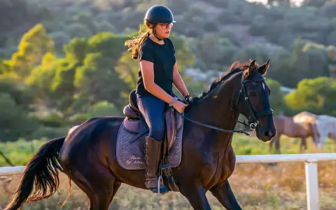 Jeune fille en casque et lunettes roses monte un cheval noir dans un ranch, le soleil couchant illumine la scène.