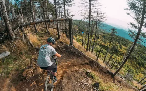 Rowerzysta zjeżdża po wyboistej ścieżce, odkrywając malownicze **bielsko biała trasy rowerowe**. Widok na góry zapiera dech w piersiach.