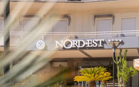 Hotel Nord Est sign with a compass logo and five stars, framed by palm fronds.