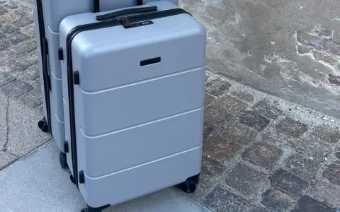 Två grå resväskor, perfekta som lufthansa handbagage, står på en kullerstensbelagd trottoar.