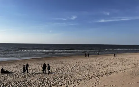 Plaża nad Bałtykiem z kilkoma spacerującymi osobami i widokiem na morze.
