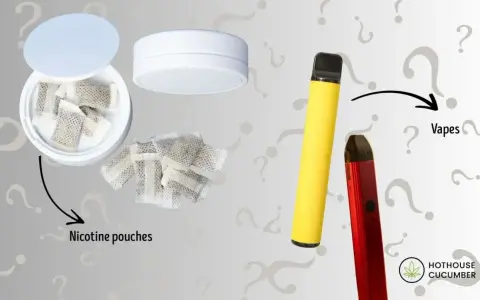 Bolsitas de nicotina y vapes. ¿Cuánto es el máximo de nicotina en un vape?