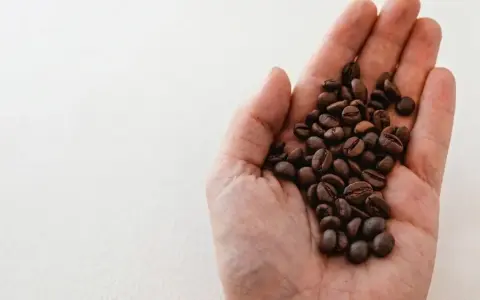 Eine Hand hält geröstete Kaffeebohnen. Das Bild erklärt, was bedeutet entkoffeiniert: Kaffee ohne Koffein.