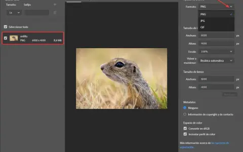 Jak zmniejszyć rozmiar pliku Photoshop i uniknąć utraty jakości
