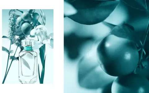 Tiffany und Co Parfum bei Müller: Finde deinen perfekten Duft