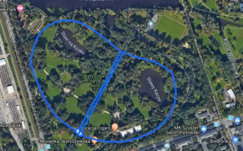 Mapa Parku Skaryszewskiego w Warszawie, idealne miejsce, gdzie biegać w Warszawie, z zaznaczonymi stawami i alejkami.
