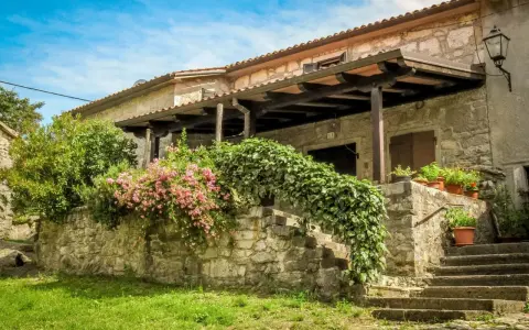 Steinhaus mit blühenden Rosen und Efeu in einem malerischen Dorf in Hum, Kroatien.