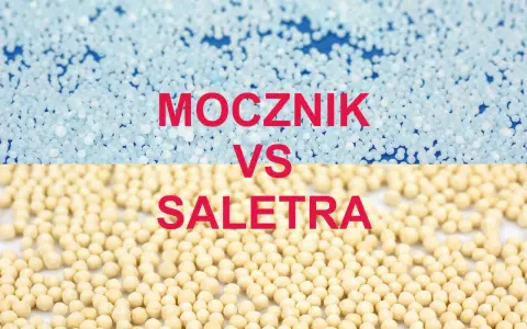 Granulat saletry i mocznika. Zastanawiasz się, po jakim czasie działa saletra? Sprawdź różnice między nawozami.
