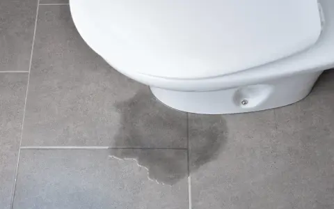 A wet patch on the floor indicates the toilet leaking at the base.