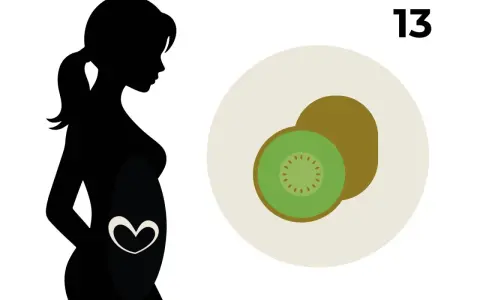 Silhouette einer schwangeren Frau mit einem Herzsymbol im Bauch. Daneben ein Kiwi-Obst und die Zahl 13, die 13 ssw. symbolisiert.