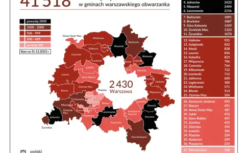 Norma Euro w dowodzie? Sprawdź online i uniknij mandatu w SCT!