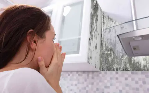 Mujer con las manos en la cara, asqueada por el moho en la pared de la cocina.