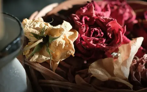 Suszone płatki róż w koszyku, idealne do tworzenia naturalnych kosmetyków, potpourri lub jako dekoracja. Jak wykorzystać suszone płatki róż?
