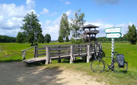 Rower czeka przy drewnianym pomoście, gotowy na odkrywanie tras rowerowych Podlasia. Wieża widokowa zaprasza do podziwiania krajobrazu.