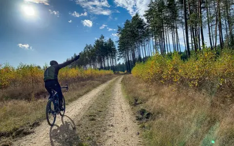 Rowerzysta cieszy się jazdą po szutrowej drodze wśród jesiennych drzew.