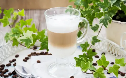 Jak zrobić latte? Warstwowy napój kawowy w szklance, otoczony bluszczem i ziarnami kawy.
