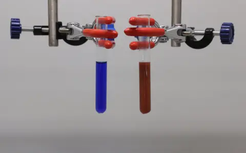 Zwei Reagenzgläser mit Flüssigkeiten, eines blau, das andere rotbraun, werden in einem Laborständer für eine Fehling-Probe gehalten.