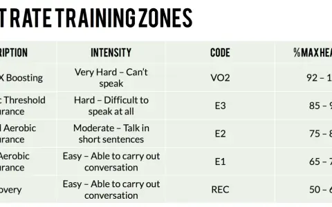Chart shows five heart rate zones: VO2 Max, Anaerobic, General Aerobic, Base Aerobic, and Recovery, each with intensity and % max heart rate.