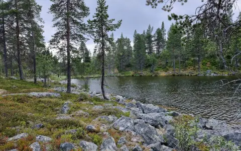 En sjö kantad av stenar och tallar i Rogens naturreservat. Marken är täckt av mossa och ljung.