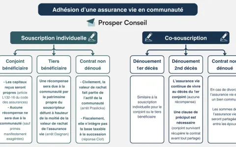 Schéma comparant souscription individuelle et co-souscription d'assurance vie en communauté, abordant la fiscalité décès assurance vie.