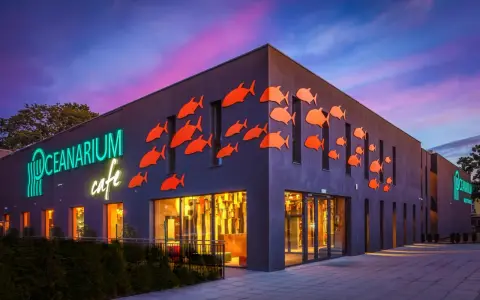 Oceanarium w Międzyzdrojach, z neonowym napisem i pomarańczowymi rybkami na fasadzie, to świetne miejsce na rodzinne atrakcje dla dzieci.