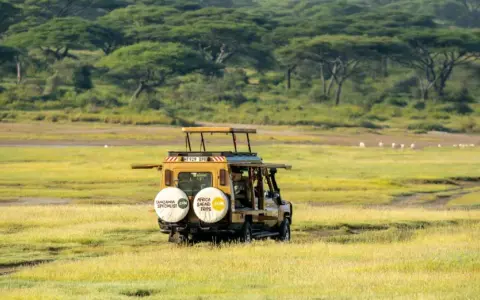 Gul safari-jeep kör genom savannen. För att skydda sig mot malaria, malariaprofylax är viktigt för resenärer.