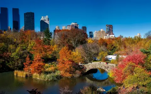 Central Park Attraktionen: Ihr Guide für New Yorks grüne Lunge
