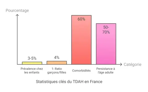 Graphique illustrant des statistiques clés du TDAH en France : prévalence chez les enfants (3-5%), ratio garçons/filles (4%), comorbidités (60%) et persistance à l'âge adulte (50-70%). Ce diagnostic TDA est complexe.