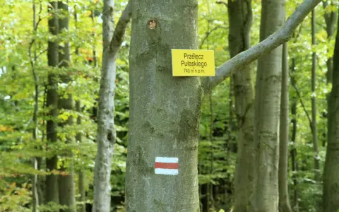 Szlak turystyczny prowadzi przez las. Na drzewie tabliczka "Przełęcz Pułaskiego 743 m n.p.m." i znak czerwono-biały.