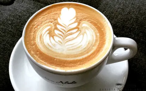 Eine Tasse Cappuccino mit kunstvoller Barista Art, die ein Herz und Blätter zeigt.