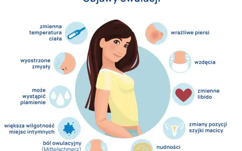 Ilustracja pokazuje objawy owulacji, w tym ból owulacyjny (czy jajniki bolą), zmiany temperatury ciała, wrażliwe piersi, wzdęcia, zmienne libido, nudności i bóle głowy.