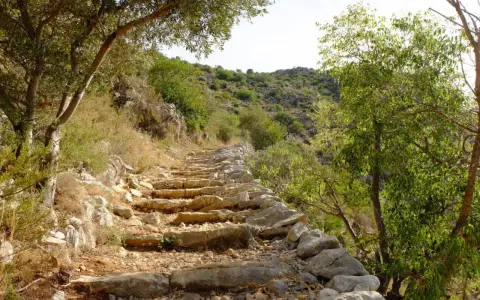 Sendero de piedra en ascenso, rodeado de vegetación mediterránea. Un camino ideal para rutas senderismo Alicante.