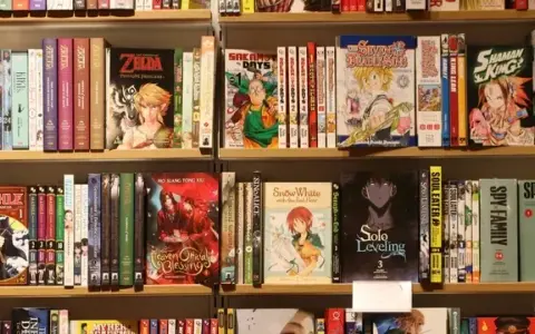 Manga Läden Hamburg: Top-Adressen & Geheimtipps für Fans