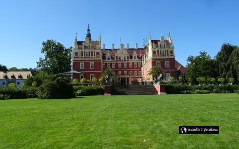 Majestatyczny pałac w parku muzakowskim, otoczony zielonym trawnikiem i drzewami, pod błękitnym niebem.