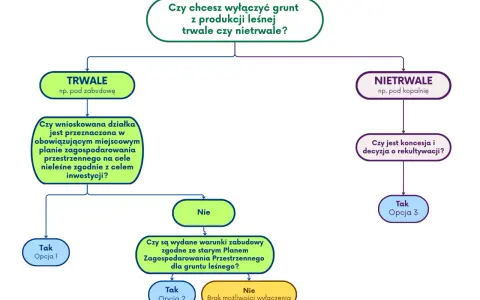 Schemat decyzyjny dotyczący wyłączenia gruntu z produkcji leśnej. Określa, czy wyłączenie ma być trwałe czy nietrwałe, uwzględniając plan zagospodarowania i decyzje administracyjne.