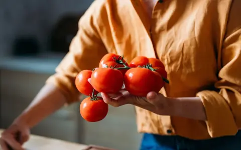 Une personne tient une grappe de tomates rouges fraîches, prêtes à être conservées.