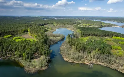 Malownicze pojezierze brodnickie jeziora otoczone gęstymi lasami, z błękitnym niebem i białymi chmurami w tle.