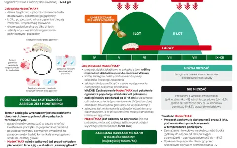 Madex® MAX zwalcza gąsienice, działając żołądkowo. Preparat jest skuteczny i bezpieczny dla pożytecznych owadów.