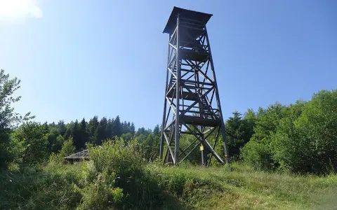 Drewniana wieża widokowa pod Jaworzem góruje nad zielonym lasem. W oddali widać mały domek.