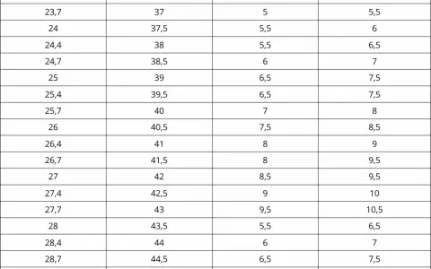 Tabla de tallas de calzado: de 8 americano a europeo, con medidas en centímetros y tallas europeas.
