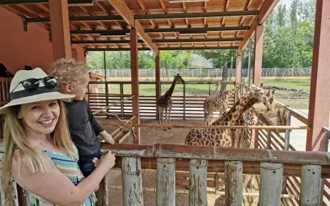 Rodzina w zoo, karmiąca żyrafy. Węgry, gdzie jechać na wakacje z dziećmi? Zoo w Budapeszcie to świetny pomysł!
