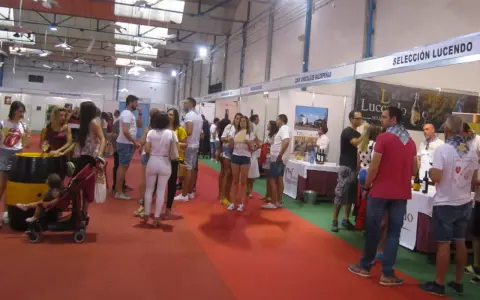 Gente en un evento de degustación de vinos, con stands de bodegas como "Coop Vinícola de Valdepeñas". El "túnel del vino Valdepeñas" se siente en el ambiente.