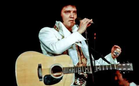 Elvis Presley singt mit Gitarre und Mikrofon, ein Bild, das sein immenses Vermögen symbolisiert.