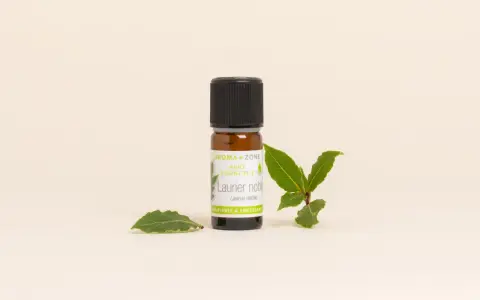 Flacon d'huile essentielle de laurier noble, entouré de feuilles fraîches. Un trésor purifiant et fortifiant.
