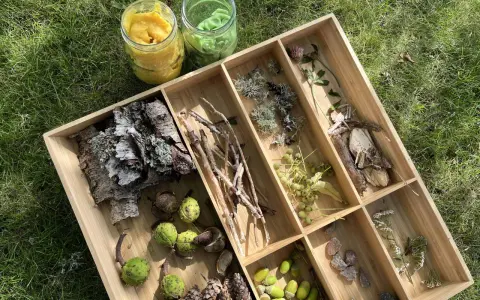 Lådor med naturmaterial för att leka med lera. Här finns kottar, kastanjer, kvistar, löv, stenar och blommor.